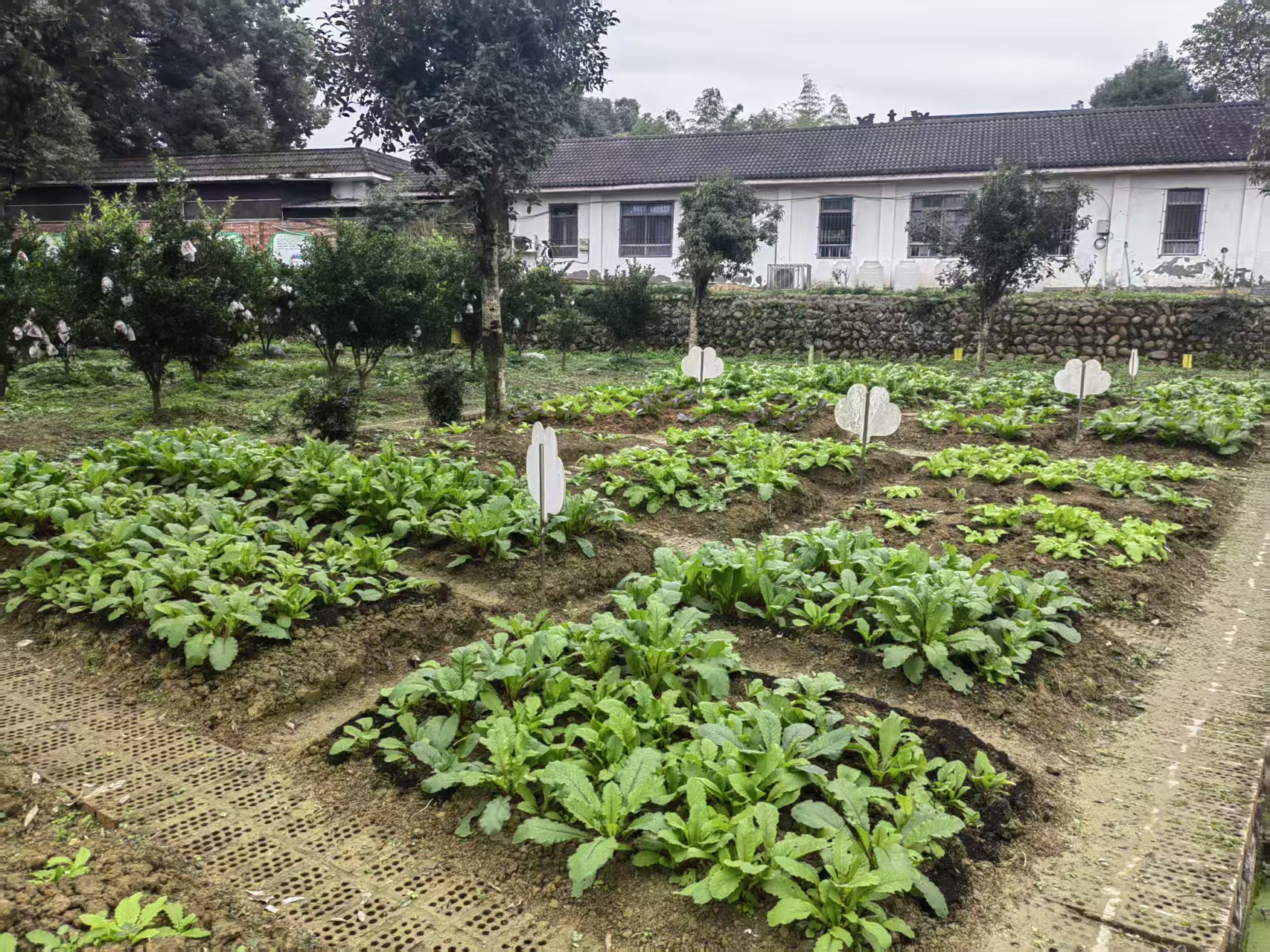 微信图片_20251124093740_162_2