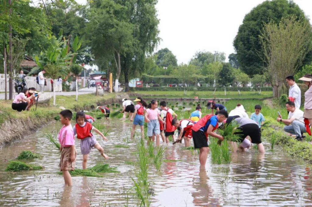 590f35839130ce0ee66d397091b89f4d