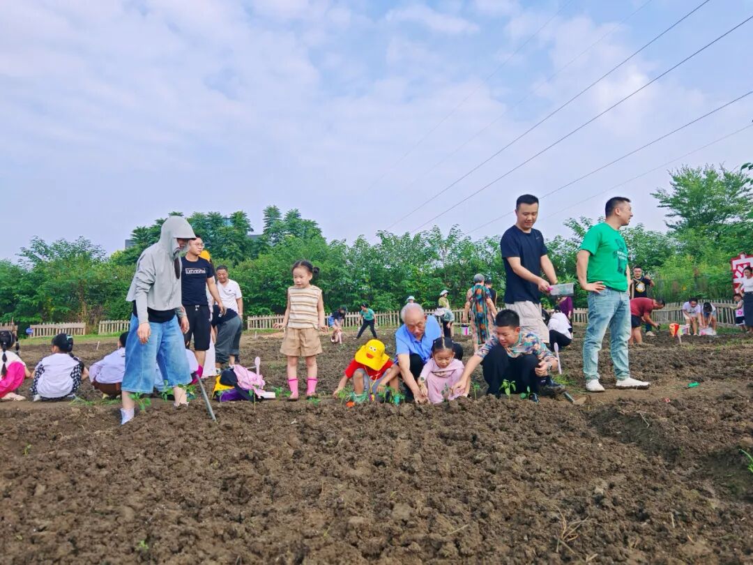 6940b33cc2423431c04de17a8241fd17