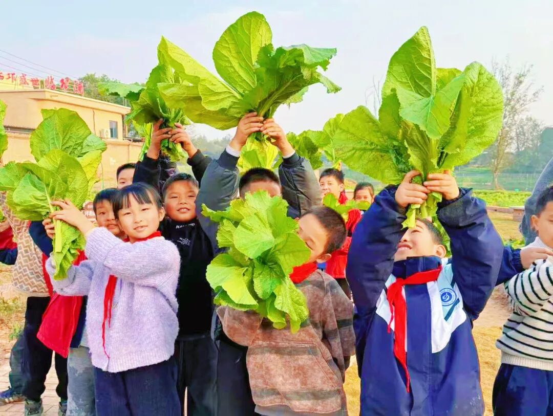 65b75ce535a4d9dfc9c2b5c3e065ee31