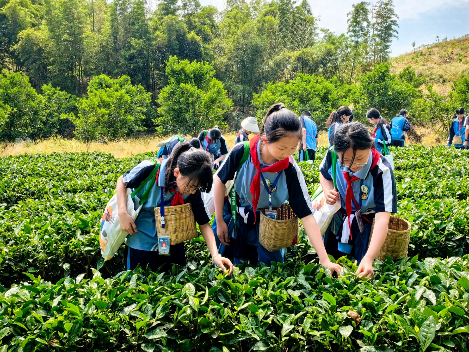 微信图片_20260509163540_15_740_副本_副本
