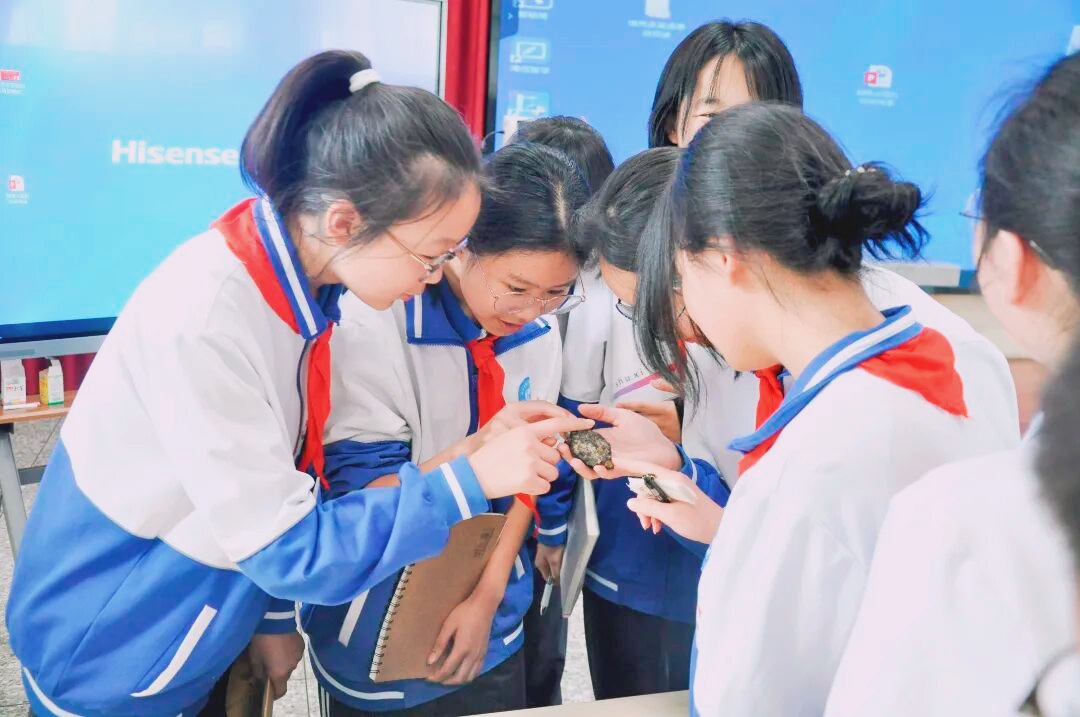 微信图片_20260514153635_126_2